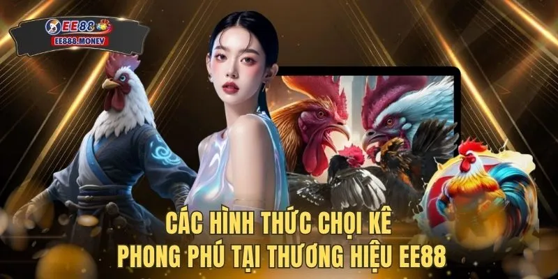 Các hình thức chọi kê phong phú tại thương hiệu EE88