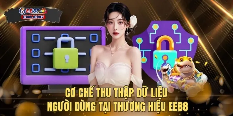 Cơ chế thu thập dữ liệu người dùng tại thương hiệu EE88