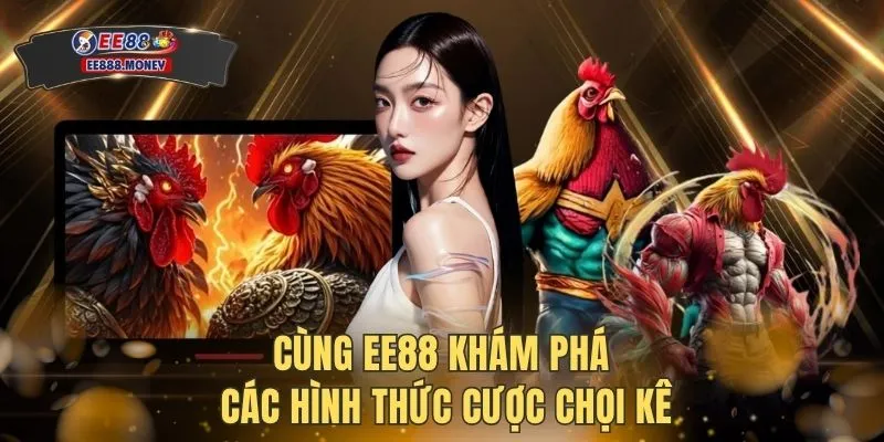 Đá gà EE88 3 Cùng EE88 khám phá các hình thức cược chọi kê
